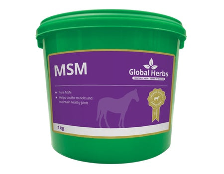 Global Herbs MSM Pure - 10% OFF