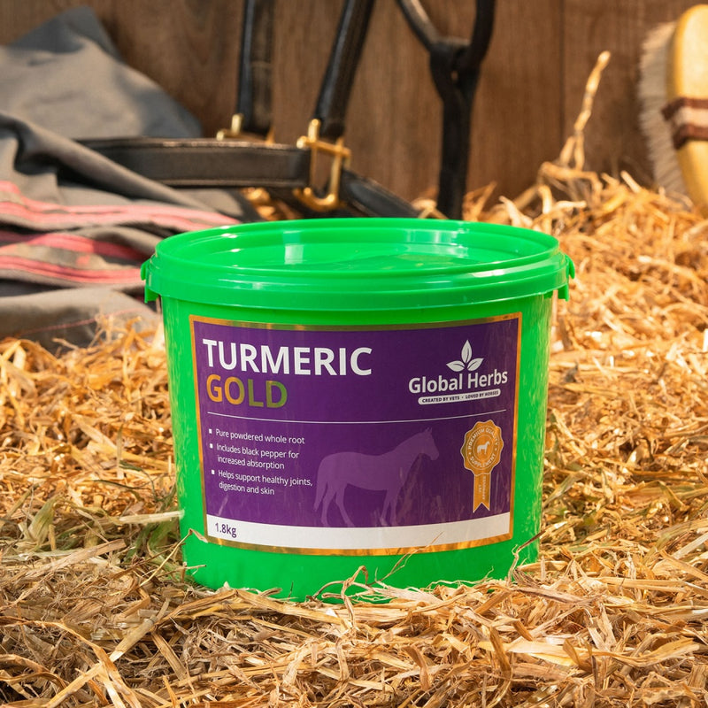 Global Herbs Turmeric GOLD
