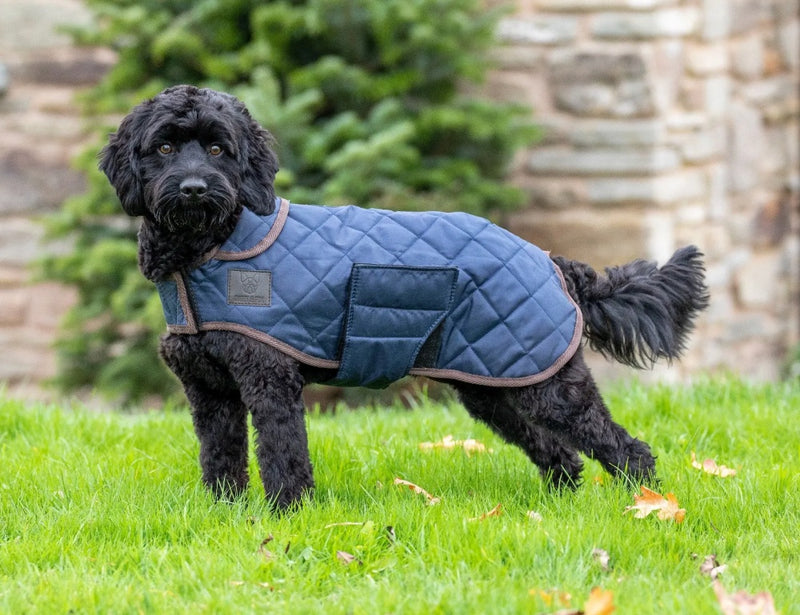 Digby & Fox Heritage Dog Coat