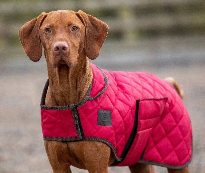 Digby & Fox Heritage Dog Coat