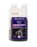 Hilton Herbs GastriX PLUS