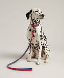 Joules Leather Dog Lead
