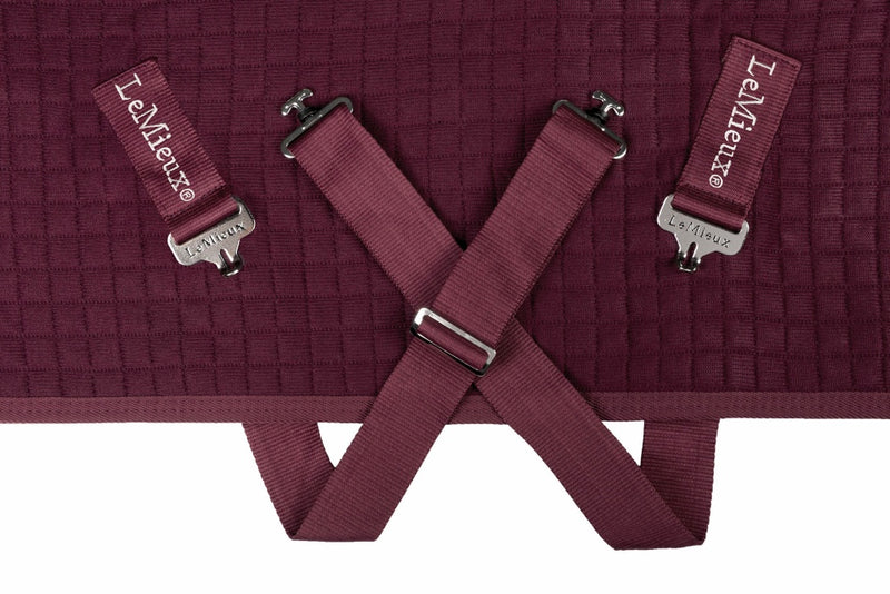 LeMieux Arika Clima-Tek Rug