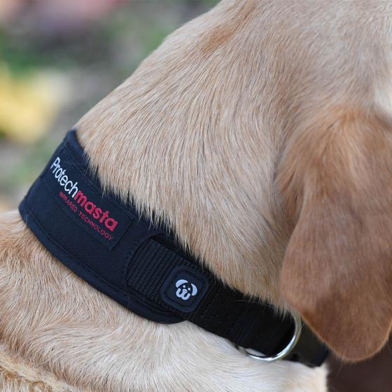 Protechmasta Infrared Dog Collar