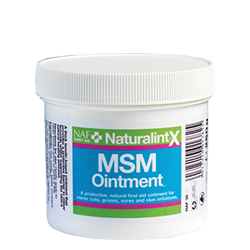NAF NaturalintX MSM Ointment for Horses