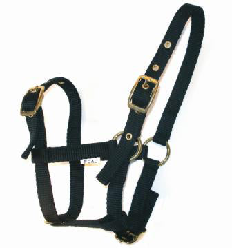 JHL Foal Headcollar