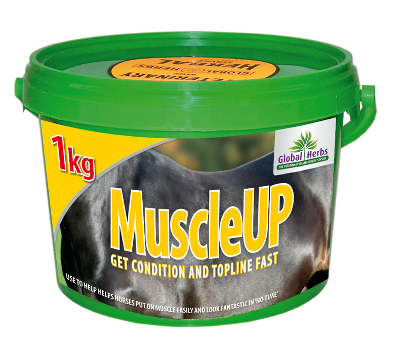 Global Herbs MuscleUp - 10% OFF