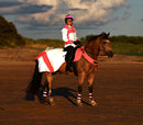 Equisafety Mercury High Visibility Exercise Rug