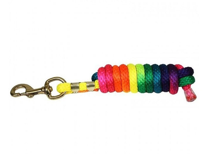 Rainbow Lead Rope