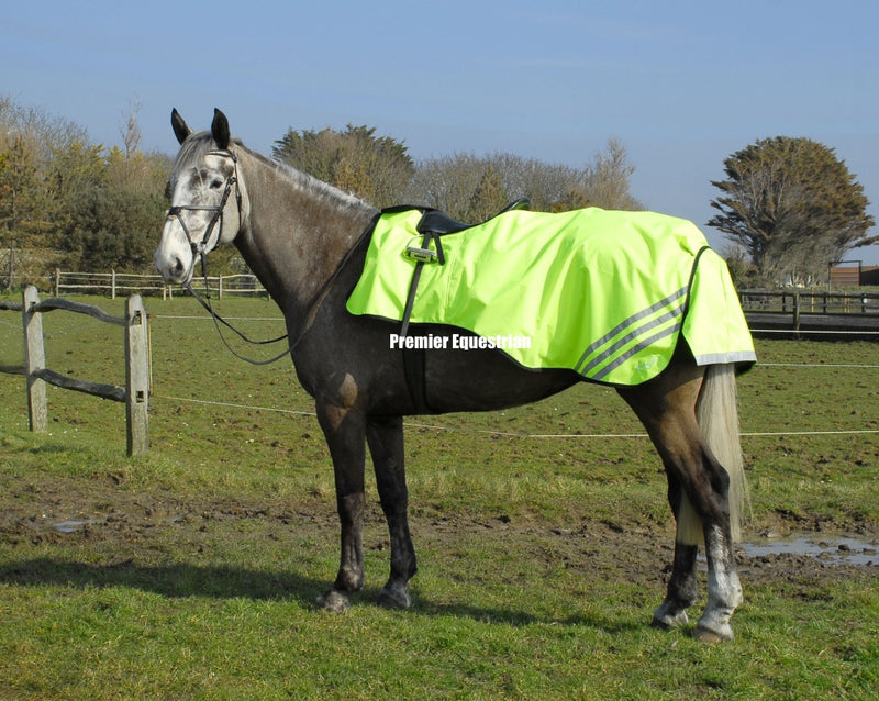 Rhinegold 3/4 Length Cutaway Waterproof Exercise Rug