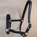Buxton Economy Padded Leather Headcollar 