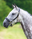 Velocity GARA Leather Travel Headcollar