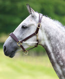 Shires Blenheim Leather Travel Headcollar