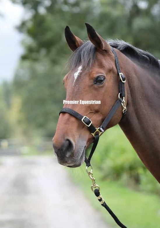 Shires Control Headcollar