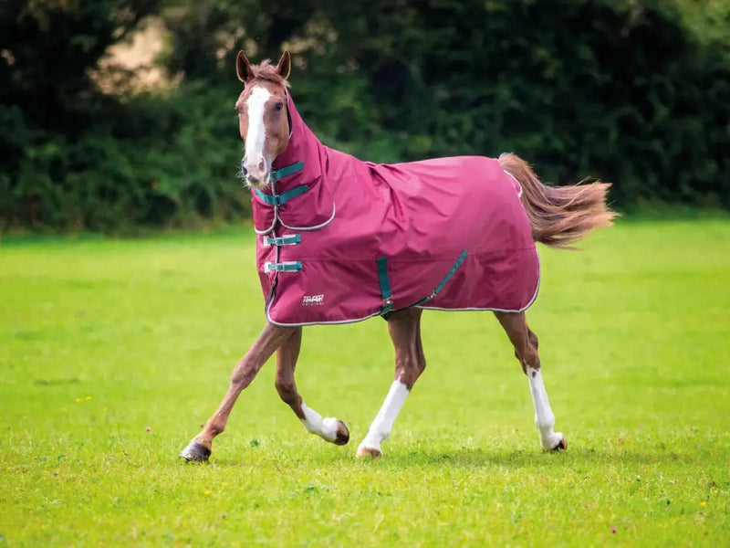 Shires Tempest Original 200 Combo Turnout