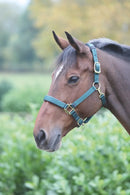 Shires Topaz Nylon Headcollar