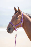 Shires Topaz Nylon Headcollar