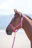 Shires Topaz Nylon Headcollar