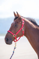 Shires Topaz Nylon Headcollar