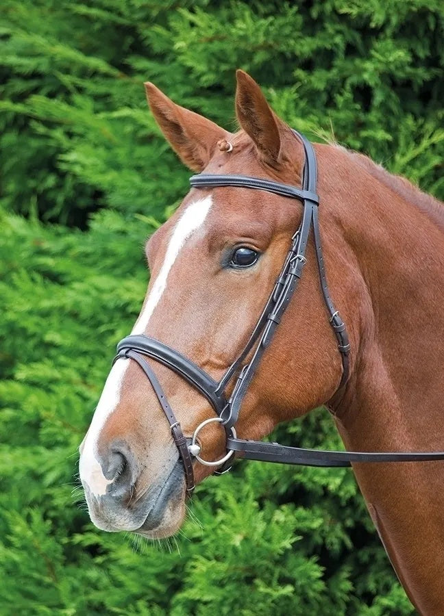 Velocity GARA Comfort Fit Bridle