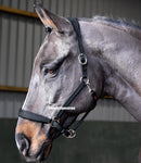 John Whitaker Ready To Ride Leather Headcollar